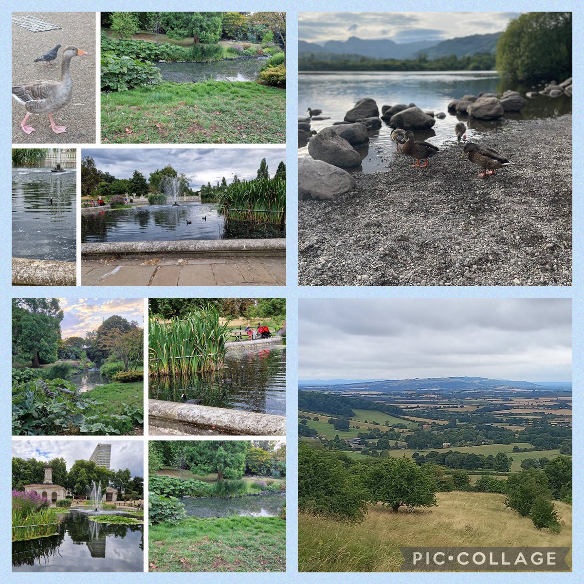 halewoodcofe's tweet photo. We’ve had so many superb photos posted so far for our #HCEPhotographyChallenge Keep them coming… 📸👌🏻 https://t.co/c2kyk2q2bv