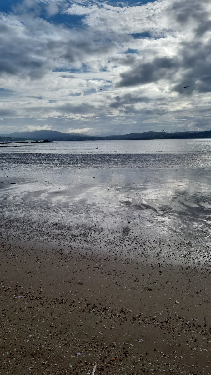 Ainemc_k's tweet photo. @GigiMoloney I am actually a terrible person I do not have bday dates stored. I do hope you know I am on what's ap if you wanna chat.This year I was buried with MSc and still recovering my energies. Morning beach walk is such a treat for the senses x https://t.co/4MGDHd3haq