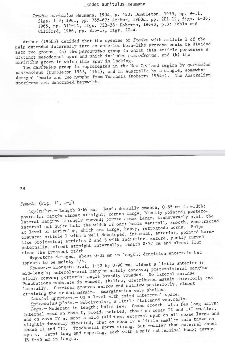 CrypTick Lab tweet media