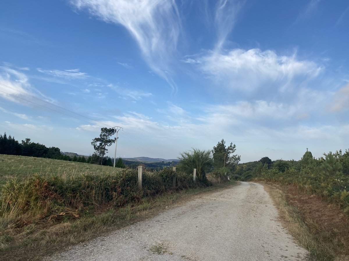 t_hersche's tweet image. Wandern in Spanien 😀 #camino #caminodesantiago