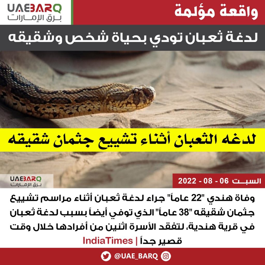 UAE_BARQ's tweet photo. لدغة #ثعبان تودي بحياة شخص وشقيقه | IndiaTimes

#برق_الإمارات https://t.co/npfobjMYwc
