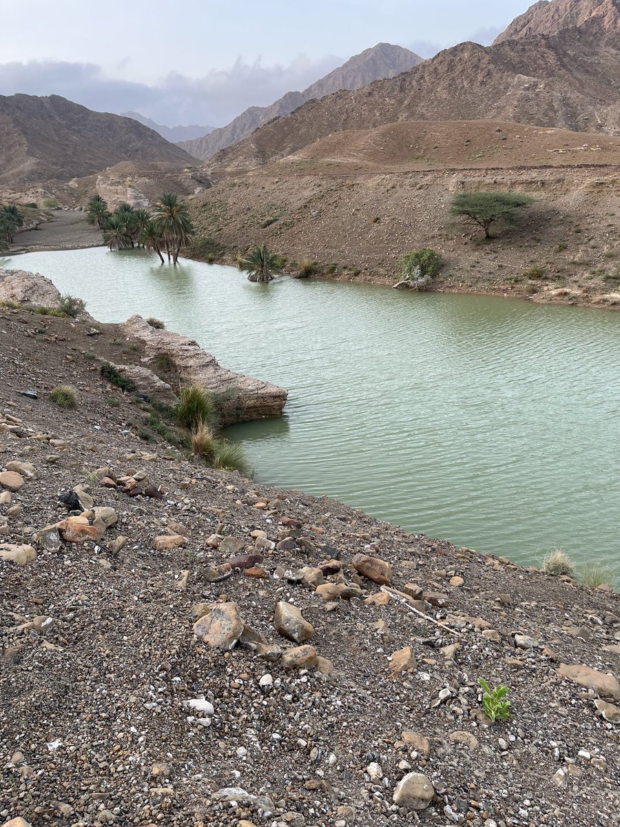 ibriroy's tweet photo. بما ان بلاد الشهوم سياحية مع توفر المياه اعتقد اقامة منتزه قرب السد ضروري كي يستريح فيه الزائر مع عائلته وهو مطلب قديم https://t.co/2HY1GwwhAb
