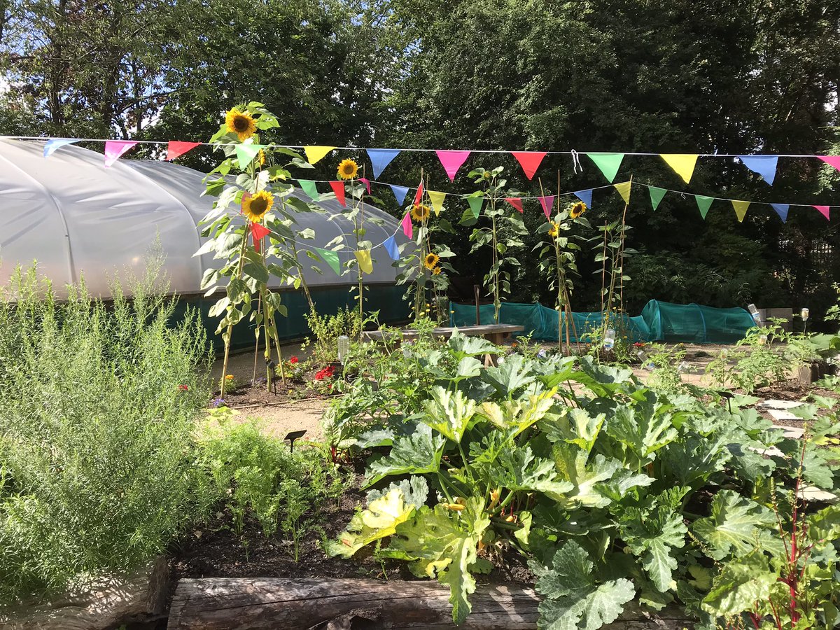 A big thank you to everyone who came along &amp; had a picnic in the 🌳Forest Garden🌳. It was great to see everyone enjoying the space &amp; supporting the work of our #volunteers and staff! If you missed out today, then why not join us next Thursday and every Thursday in August.