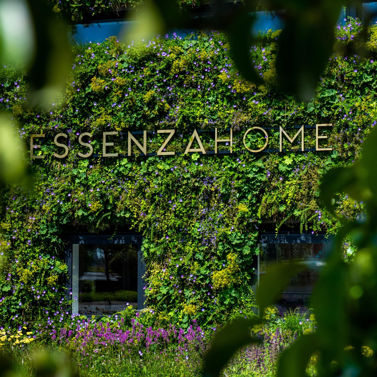 "The green wall has many advantages, such as purifying the air, increasing biodiversity, and providing a nice haven for bees and other insects." - Head of brands at ESSENZA HOME 🐝🌱🌸

#verticalgarden #greenery #sustainability #greenwall