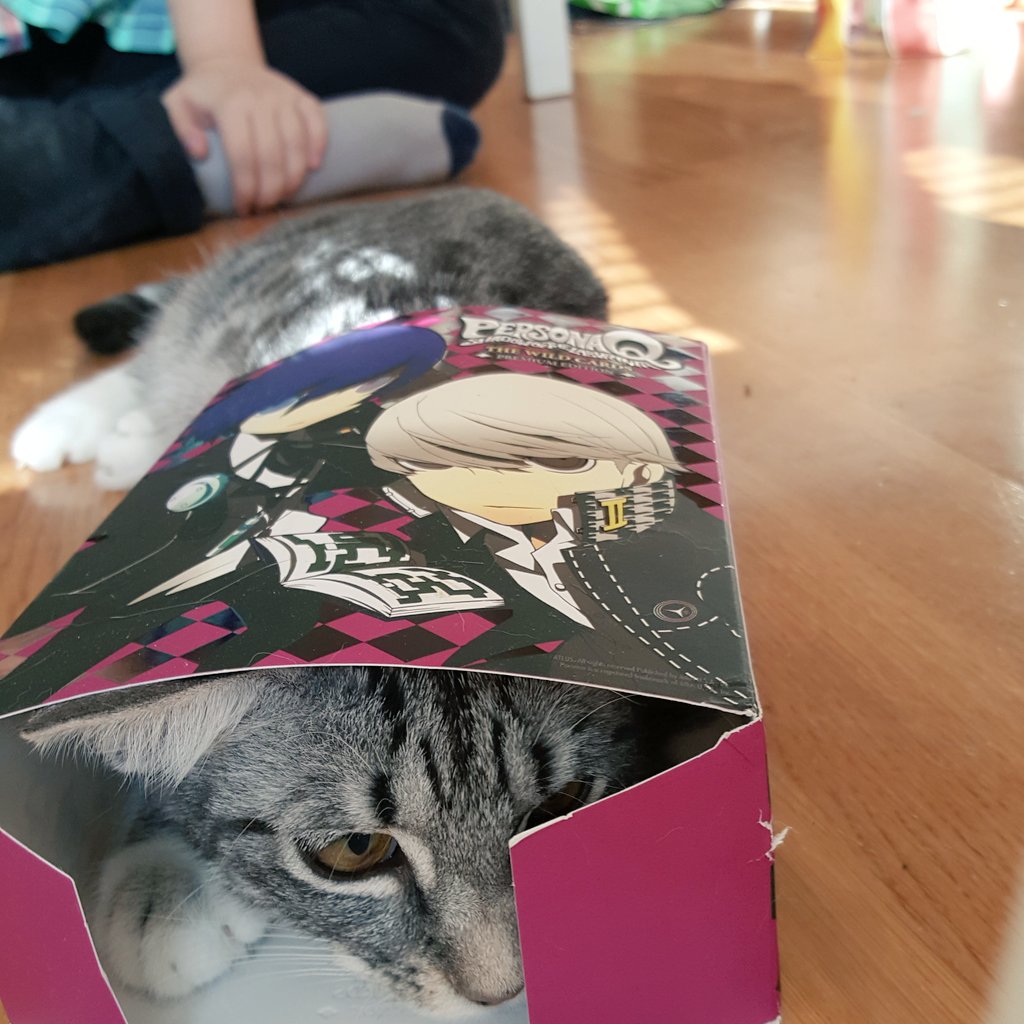 kittycatsonata1's tweet photo. Old photo, but its still fun 😂 https://t.co/15EfK2RJuD