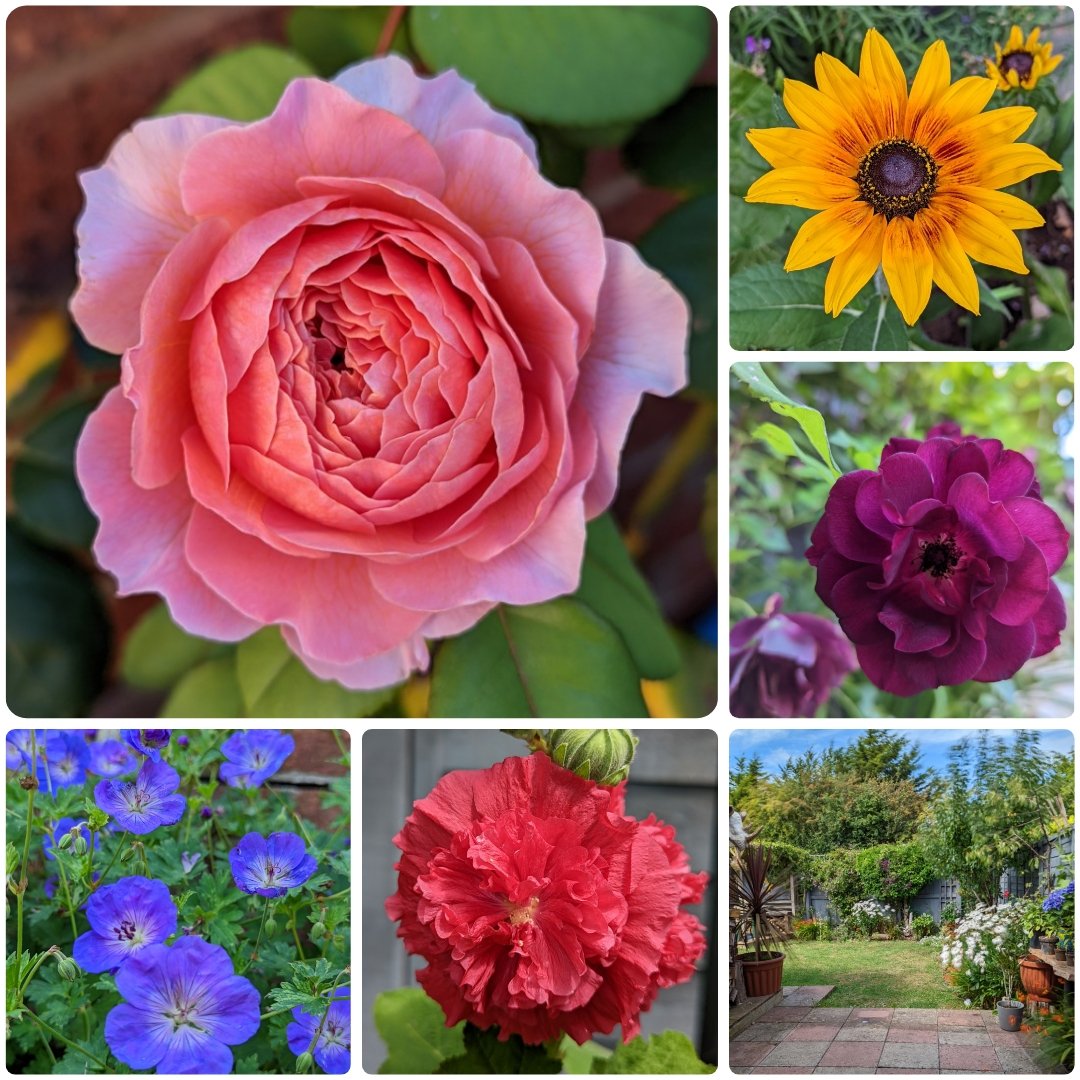 Feeling the summer vibes today. Enjoy yours! ☀️ 🌿 🌼🌸 ✌️😌 ☕ #SixOnSaturday #Flowers #garden