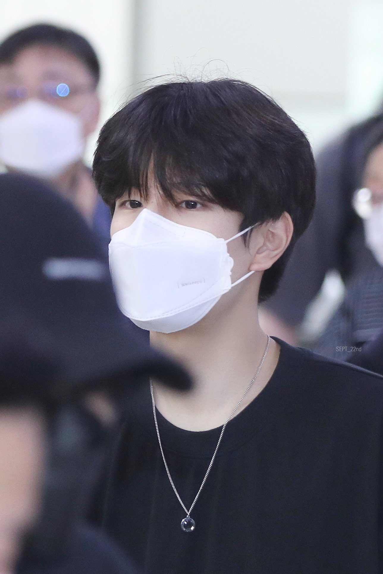 最安値挑戦！ ひかぽん その他 - serieleamos.com