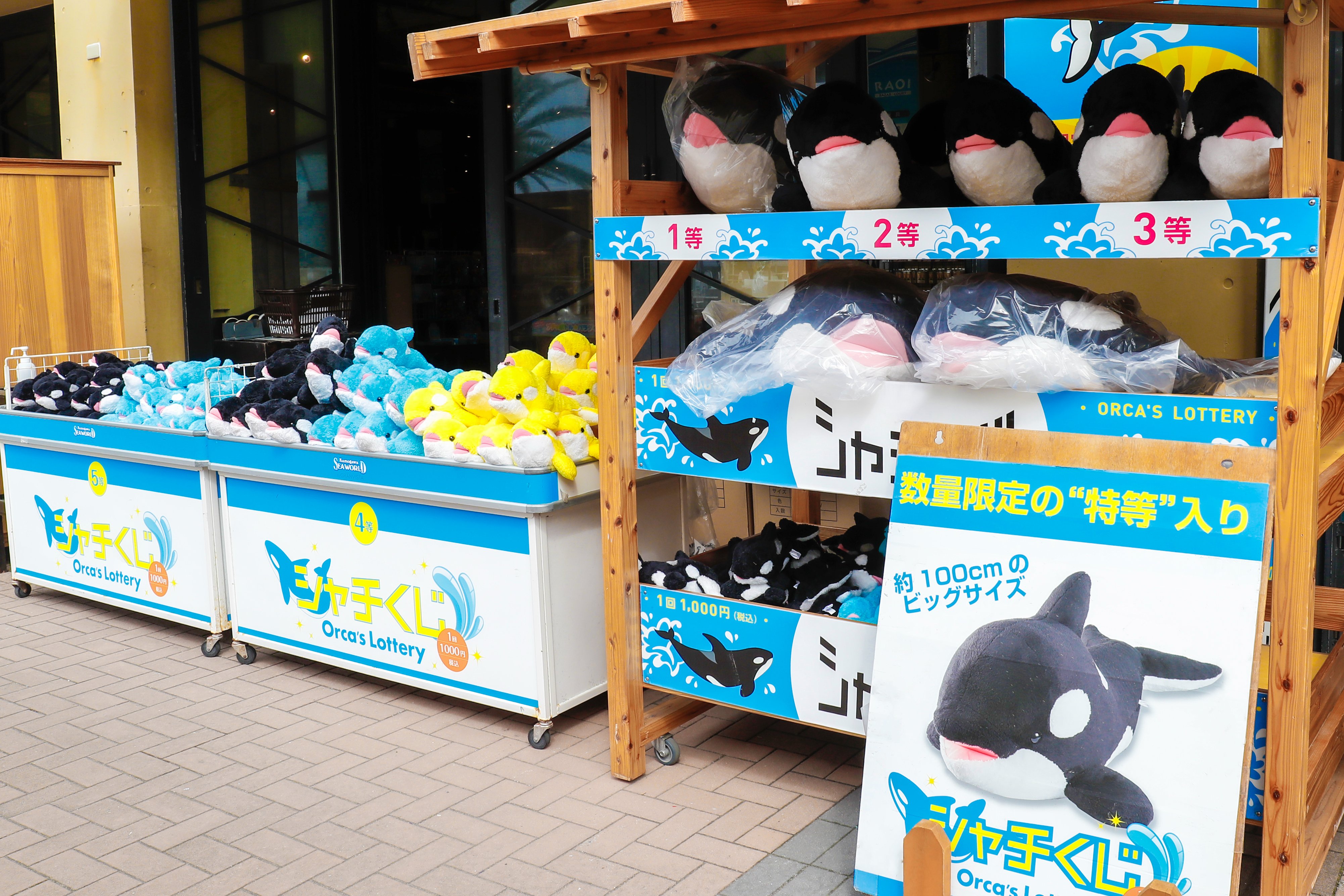 一等】鴨川シーワールド シャチ ぬいぐるみ 特大