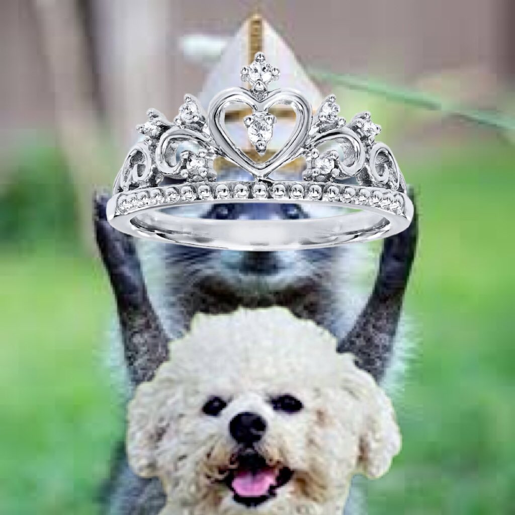 TedCruzPoodle's tweet photo. @MarkHamill @taradublinrocks @LeviFetterman @DrOz @FettermanLt @giselefetterman @DevinCow @WhistlePigTater @RonJohnsonsSoul @GreenesLlama @Chris_racCoons @OtterMunchy @SinemasMynah @OOrynx @ChuckGoat1 @nunes_goat @BoebertGoat @ChucksPidgin @deer_chuck @AnnMadMax @MileyCyrus @TedCruzCat ...and I am heir apparent.
But I digress...
#adventureswithsnowflake https://t.co/bva0ftSpVH