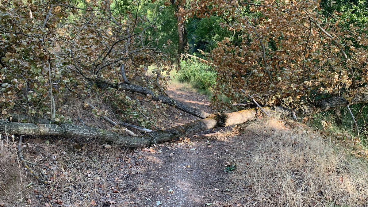 Senda del Duero (Pesquera de Duero-Peñafiel). Derrumbes, árboles caídos, maleza…
Es una pena el gasto económico que supuso y que esté totalmente abandonada <a href="/jcyl/">Junta de Castilla y León</a> <a href="/chd_duero/">Confederación Hidrográfica del Duero</a>