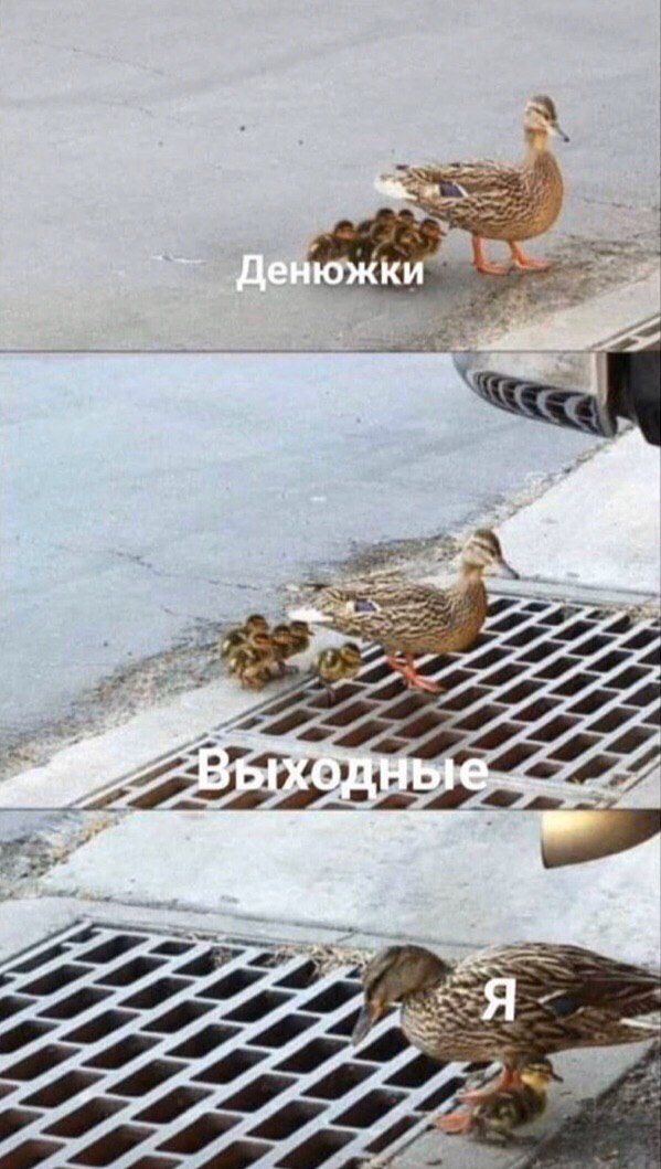 DantesDmitriy's tweet photo. Вангую: https://t.co/J1td12wQBV