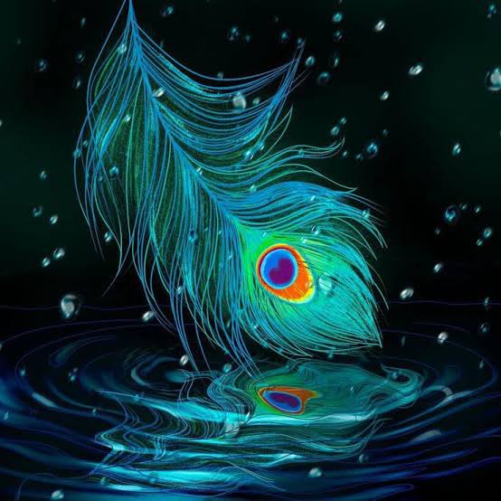 350 Peacock Feather Pictures Download Free Images on Unsplash
