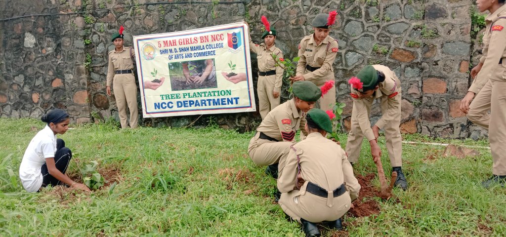 CaptNazia's tweet photo. NCC Unit had visited Air Force Station Madh.
Activities done by cadets.
1 Tree plantation.
    100 tree planted.
visit to Madh fort.
 5 August 2022.
Total participants:- 60 cadets.
ANO Capt. Nazia Sayyed.
@bn_girls 
@mah_coy 
@WarriorsNcc https://t.co/qfygk6xc17