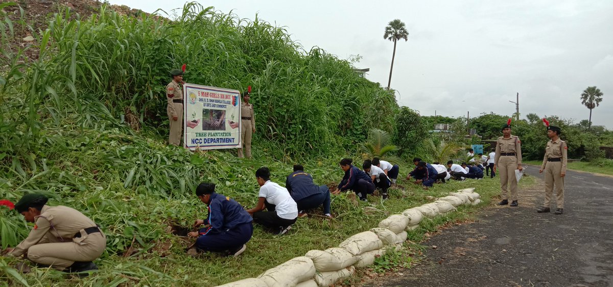 CaptNazia's tweet photo. NCC Unit had visited Air Force Station Madh.
Activities done by cadets.
1 Tree plantation.
    100 tree planted.
visit to Madh fort.
 5 August 2022.
Total participants:- 60 cadets.
ANO Capt. Nazia Sayyed.
@bn_girls 
@mah_coy 
@WarriorsNcc https://t.co/qfygk6xc17