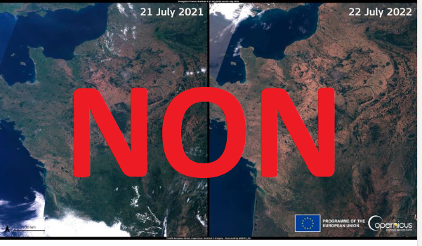 DFintelligence's tweet photo. Vous avez du voir passer cette comparaison d'image entre l'été 2021 et l'été 2022 pour insister sur l'urgence du réchauffement climatique. Mais cette comparaison est un argument fallacieux et trompeur sans rigeur scientifique. 

ATTENTION. 

 THREAD avec image satellites⬇️ 1/5 https://t.co/ze3cFRxHFE