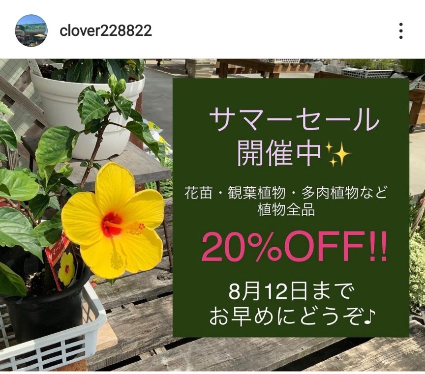 寄せ植え Twitter Search Twitter