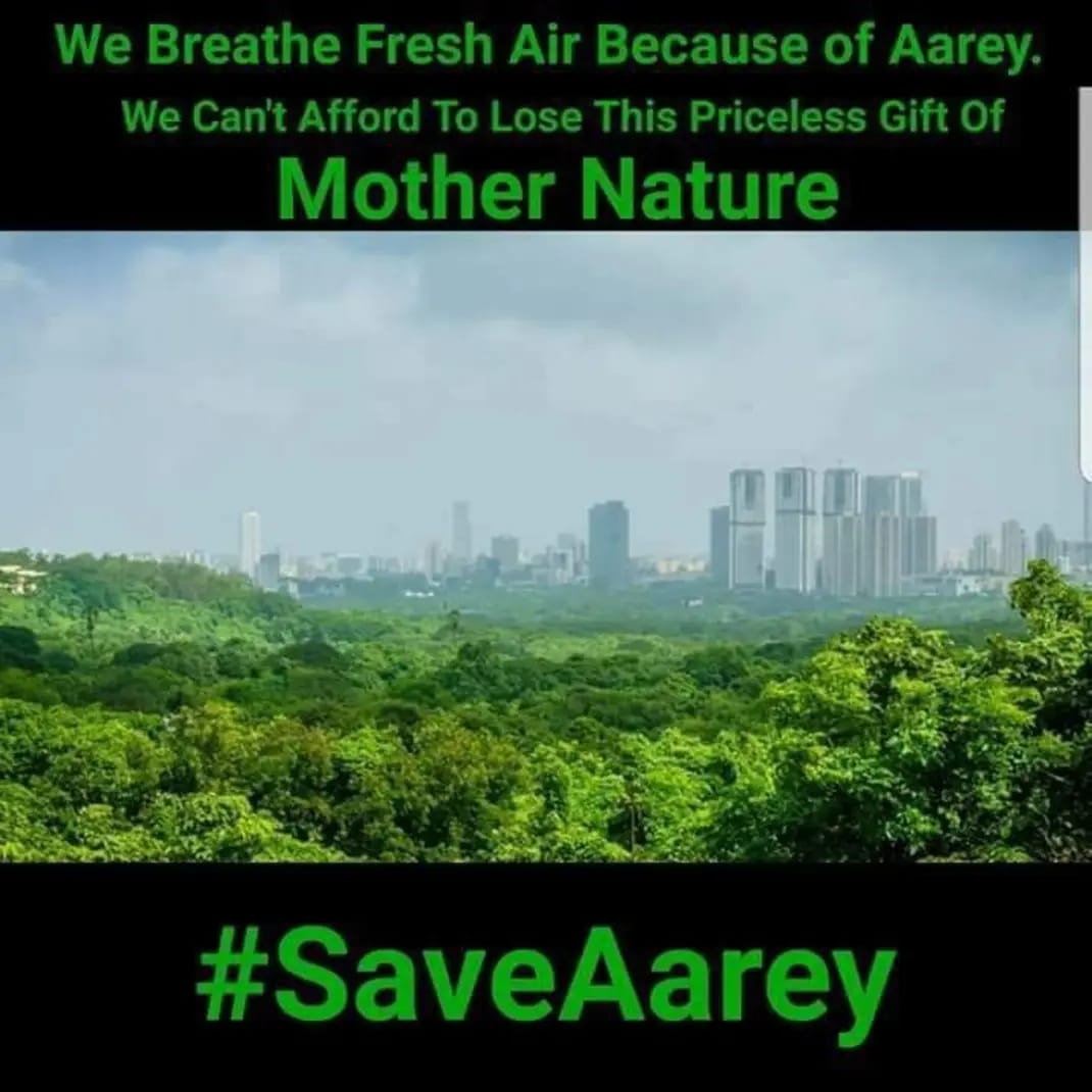 sarikadabral99's tweet photo. This rich urban forest is a biotope that houses some newly-discovered species of scorpions and spiders, besides being a treasure trove of birds, butterflies, amphibians and mammals.
@mieknathshinde 
@Dev_Fadnavis
#JusticeForAareyForest
#MMRCLDontLie https://t.co/jl8DQAI7sr
