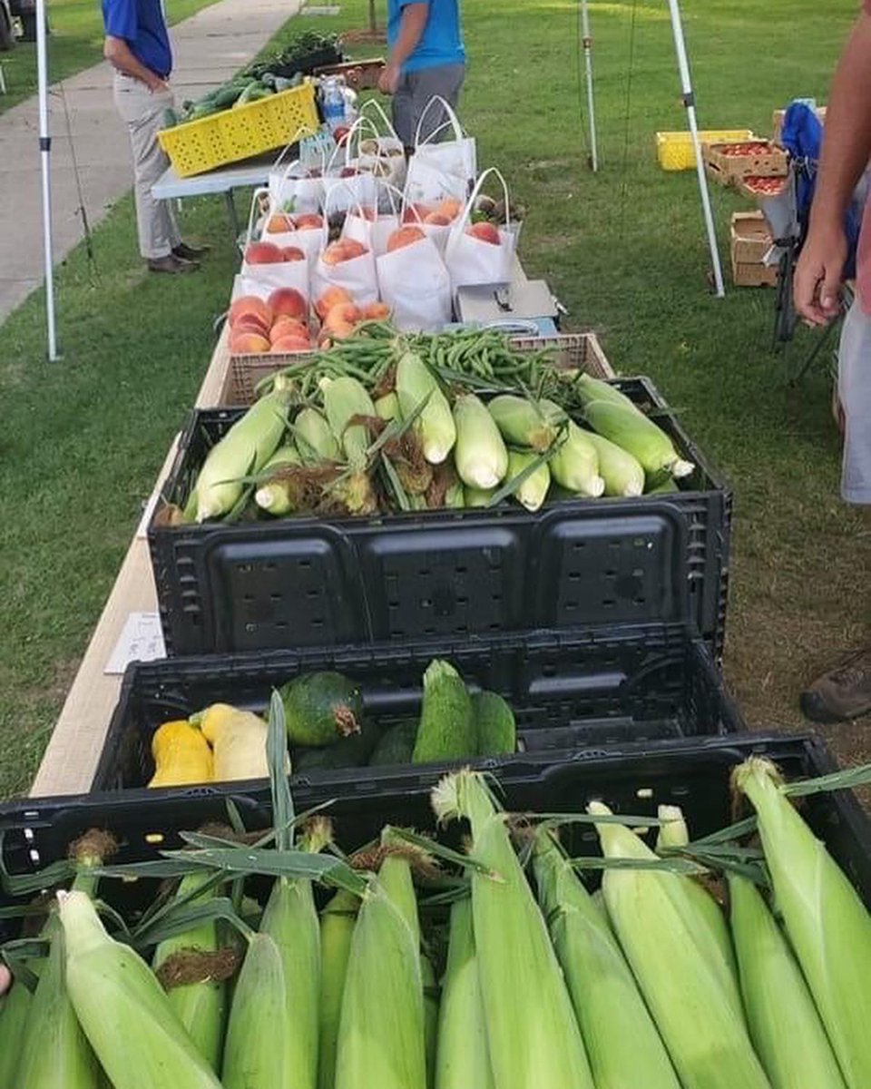 Central Park is the place to be this morning! Central Park Farmers Market, yoga, music and Wild and Wacky Art Adventure for children! What a fun day! #hannibalparks #farmersmarket #hannibalproud