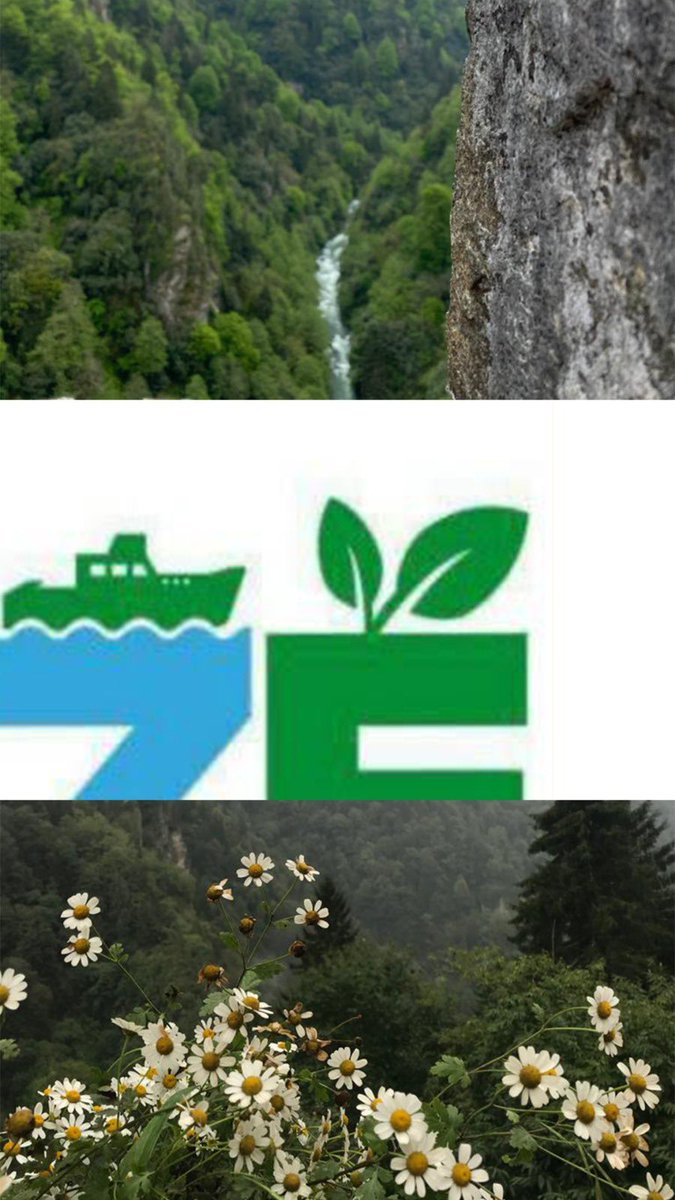 rtbuyuk's tweet photo. 📍 Rize

Resimlere tıklayınca ufak bir Rize turu atmış oluyorsunuz 🍃 https://t.co/6drveNKbOU