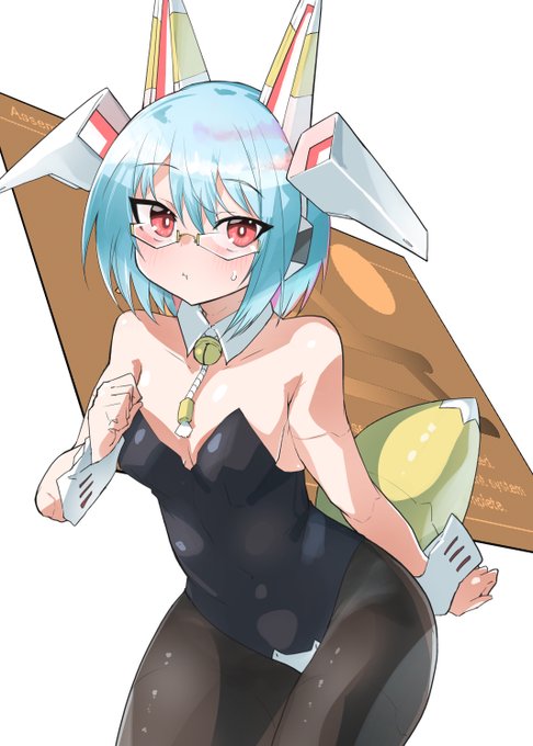 アコさんおてんちゃん装備 