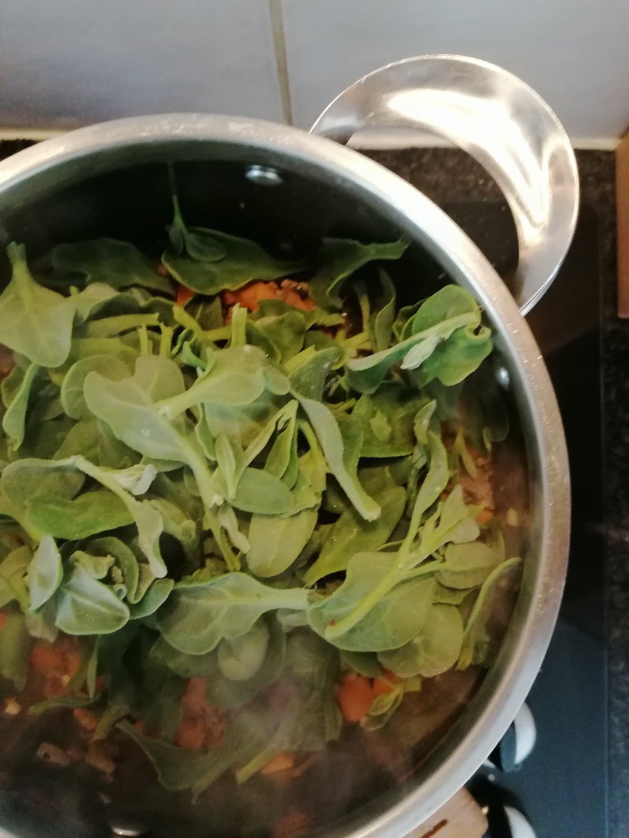 randomarivate's tweet photo. Cooking a stew with some Dune spinach... A coastal Cape Floristic edible. Indigenous always tastes great... #BlackBotanistsWeek2022 #blackfoodforthesoul https://t.co/Jvv3XayMHo