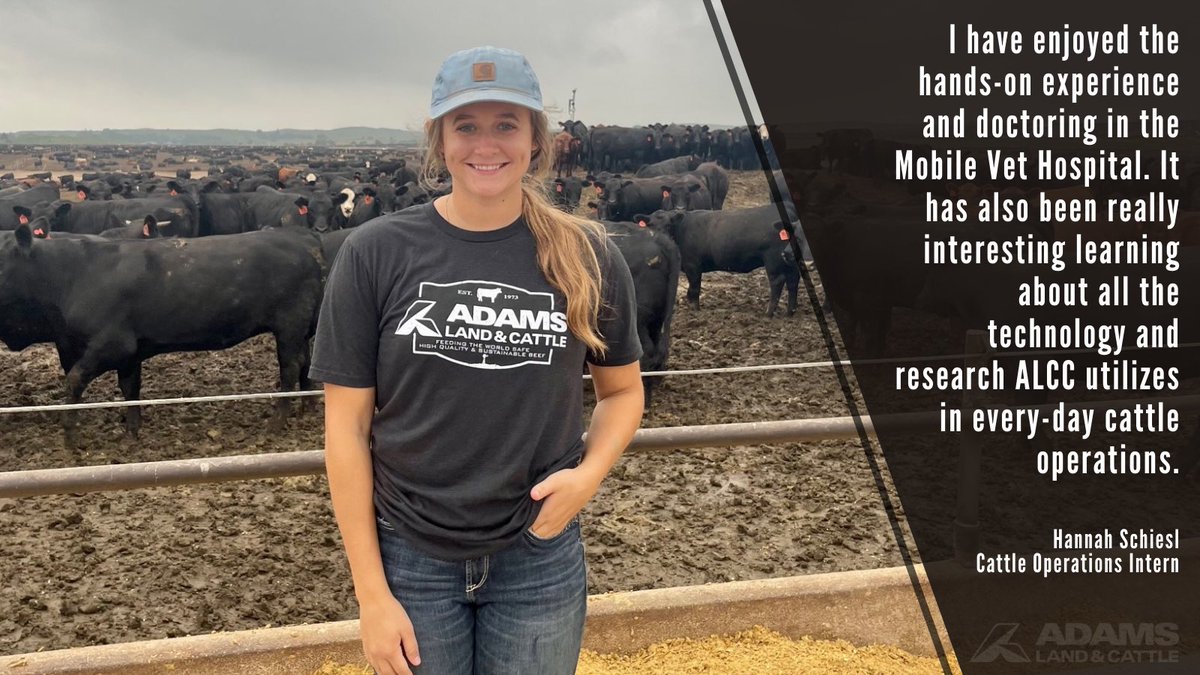 AdamsCattle's tweet photo. Meet one of our #AdamsInterns...Hannah Schiesl, from @IowaStateU! Hannah has had the opportunity to work in many aspects of our operations including, Feeding, Cattle Health and Processing! Take a look at what she has enjoyed most about her #internship. https://t.co/7GWTeiNIiu