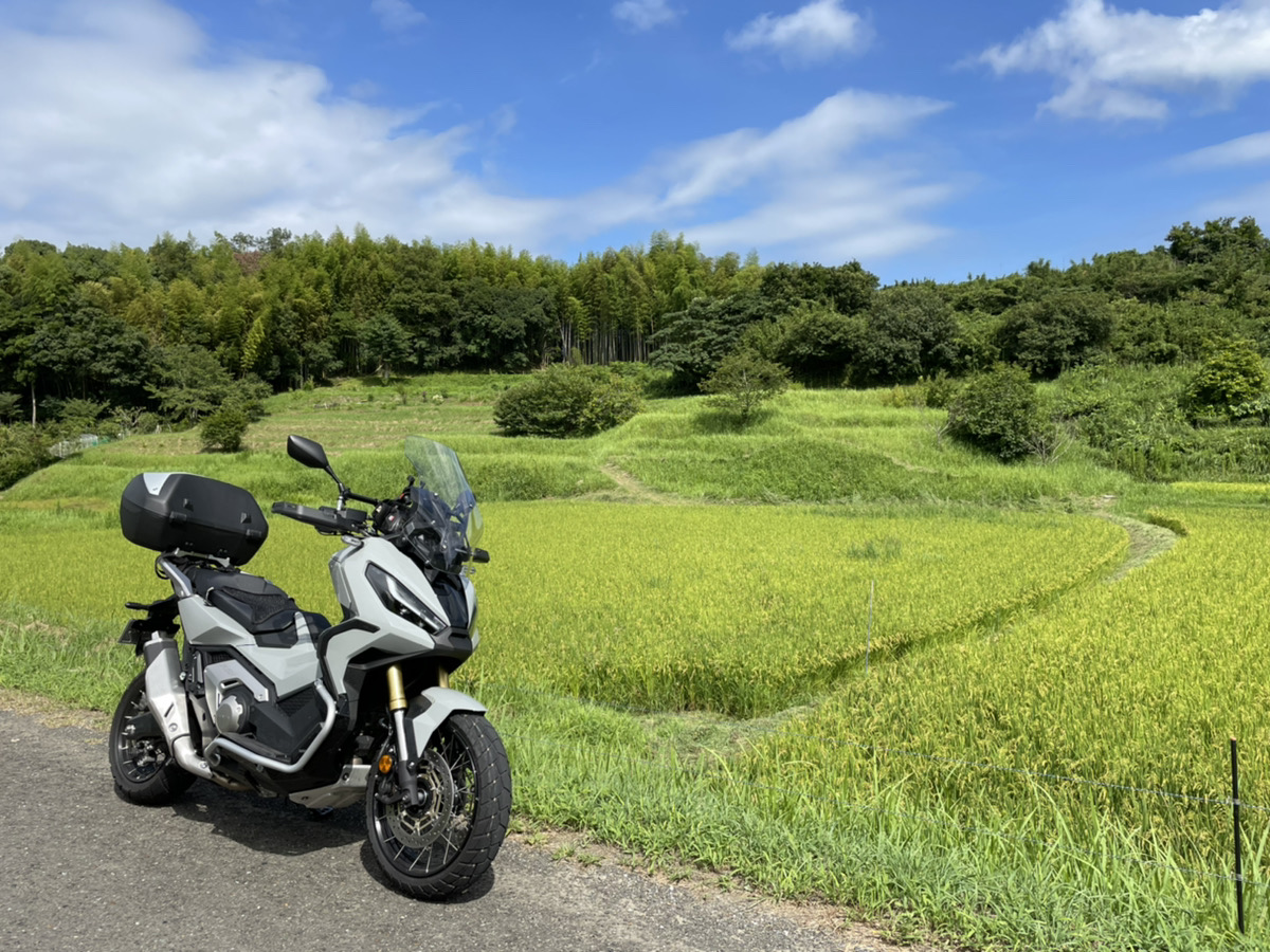 InThePassion1's tweet photo. 先日納車したX-ADVで、千葉でさくっと慣らし運転をしてきました。
今日は暑すぎず、気持ちよく走れました😀
#高滝湖 #大山千枚田 #燈籠坂大師の切通しトンネル #XADV #房総半島 #ツーリング https://t.co/808KSJqf2w