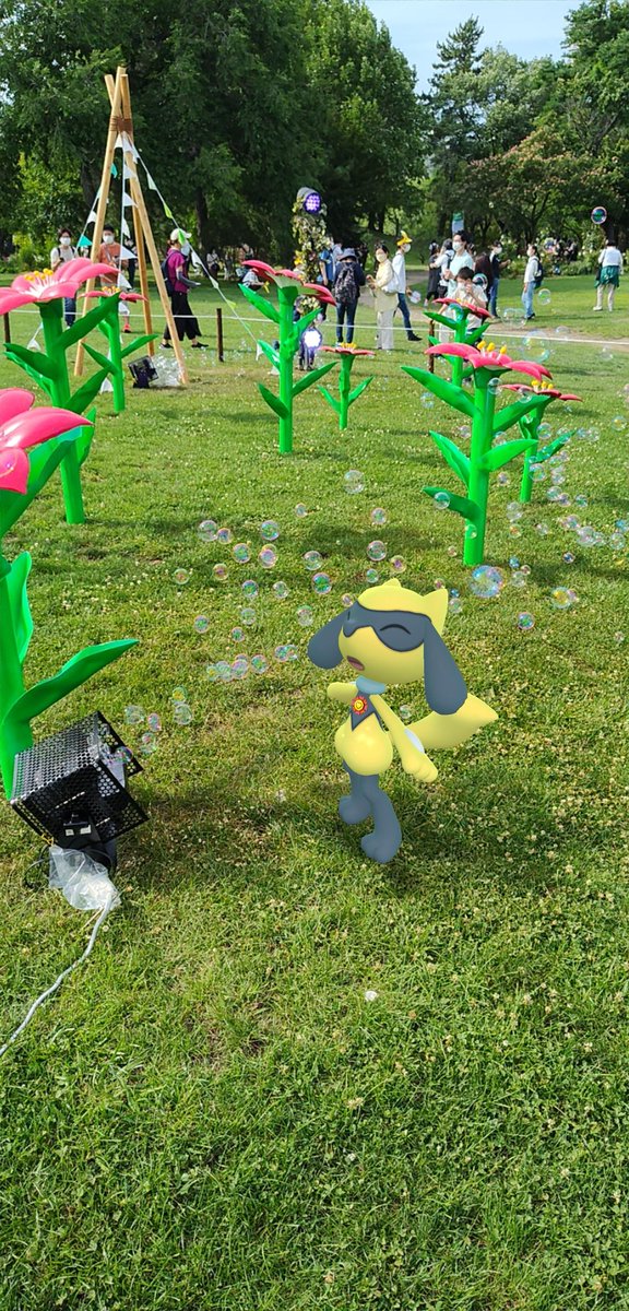 nyu_uc's tweet photo. GofestSapporo2日目午後の部に参加しました！#PokemonGOFest2022 https://t.co/qXUnCO7zuI