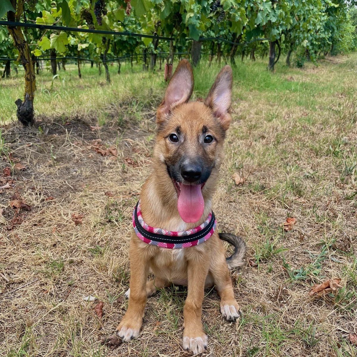 Benvenuta Atena 🎀