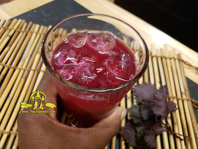 TheUrbanAbo's tweet photo. [TUTORIAL] How to: Make Aka Shiso Juice (Red Perilla Juice)  https://t.co/EVFam1mzMu #survival #gardening #redShiso #akaShiso #redPerillaJuice #JapaneseDrinks #foraging #wildcrafting #rewilding #ediblePlants #paleoDiet #Japanese #JapaneseFood #Homesteading via @TheUrbanAboriginal https://t.co/2FXGV2Asoi