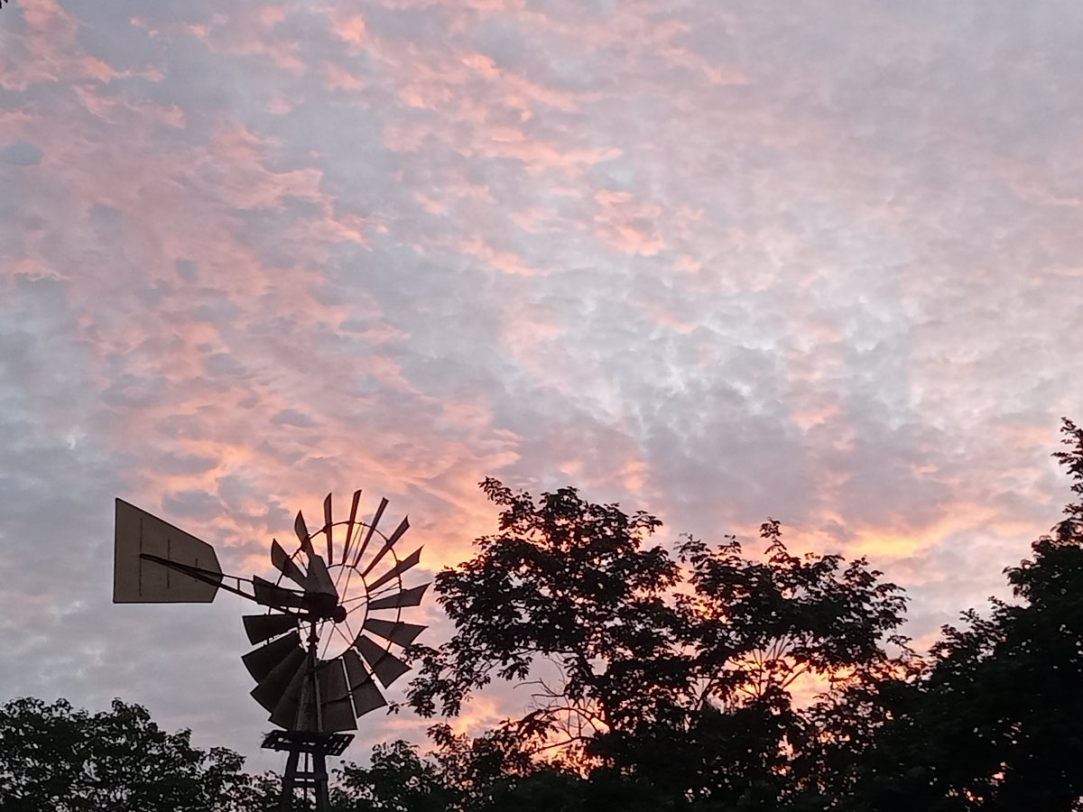 Amanecer de hoy sábado en Glamping at Kuha