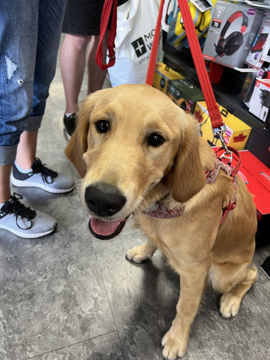 GAME York tweet media