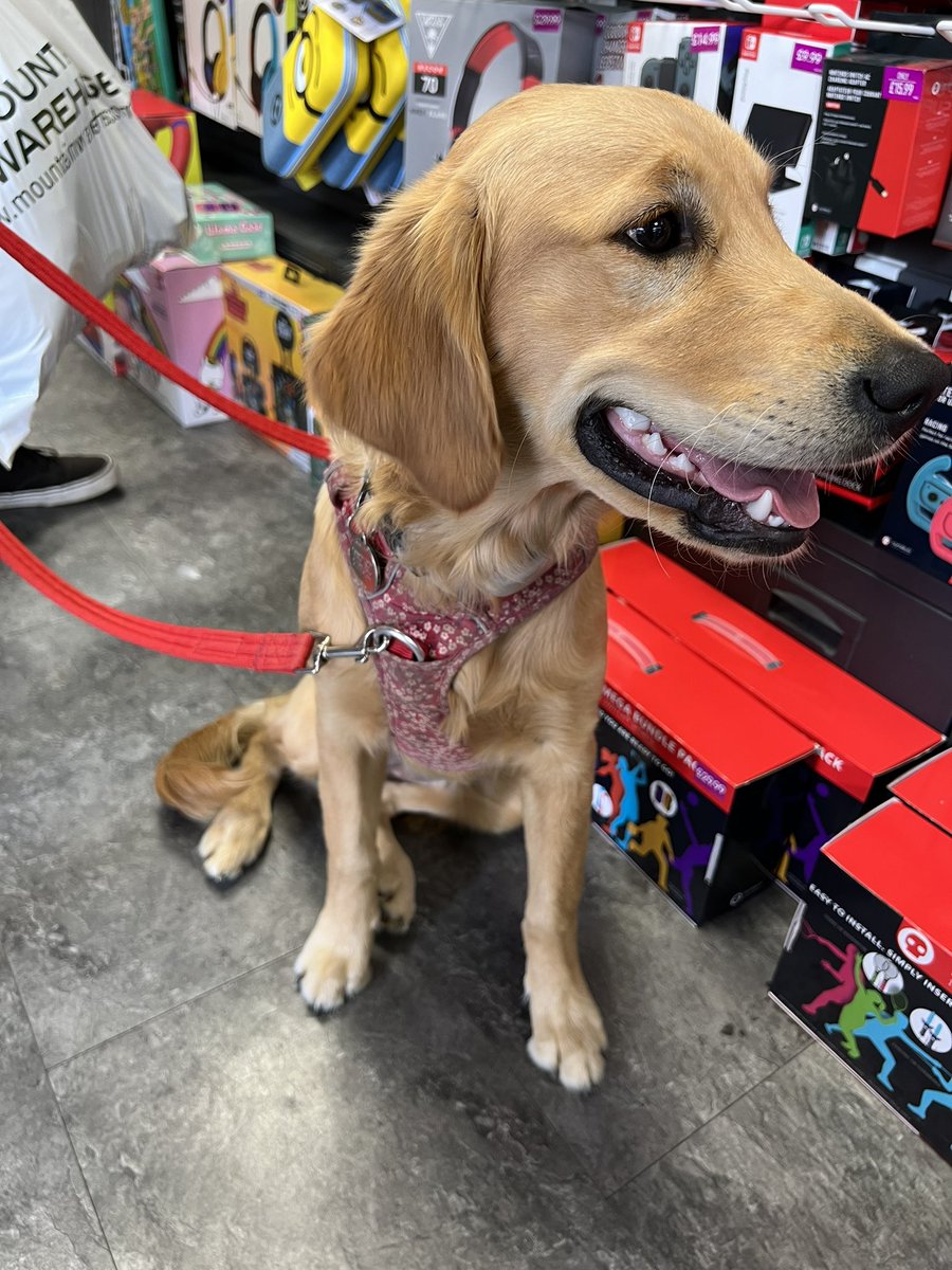 GAME York tweet media