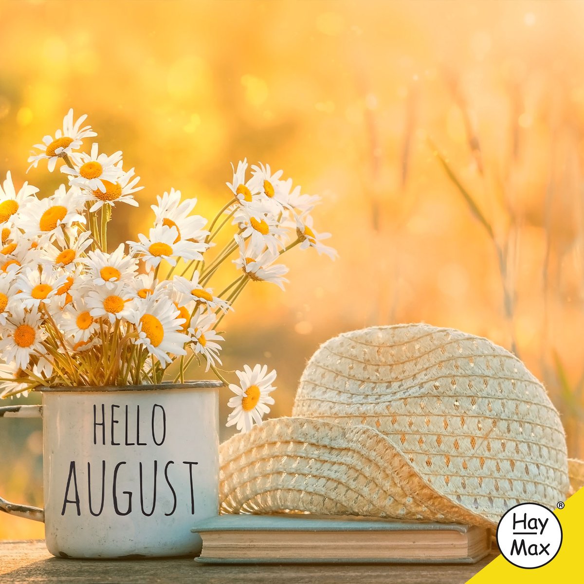 The end of July heralds the end of the peak production of #grasspollen; therefore, officially, the #HayFever season will draw to a close soon. However, weed #pollen will continue to affect people throughout August, and indoor allergies will become more of an issue! #homeallergies