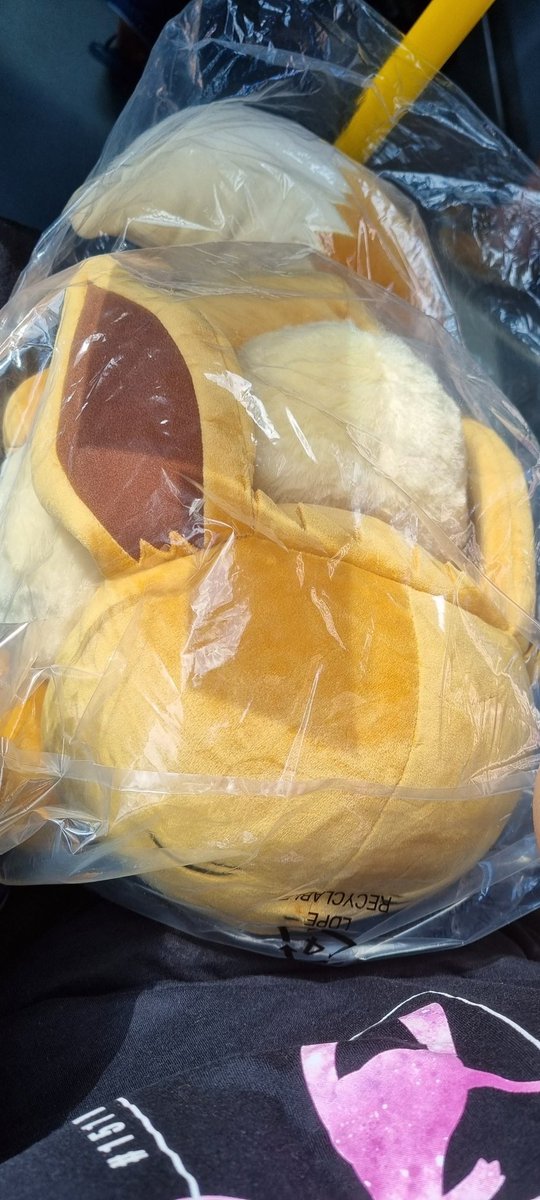 SearchyShina's tweet image. I got the best bean - he has squishmellow consistency #eevee #eeveeplush