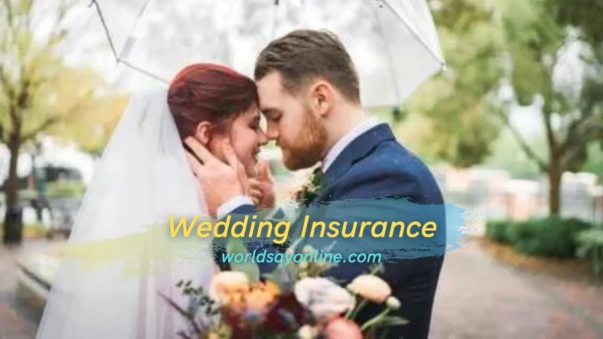 What is Wedding Insurance? Is it worth the cost?
worldsayonline.com/what-is-weddin…
#WeddingInsurance #Wedding #Insurance #WhatisWedding #Whatisinsurance
