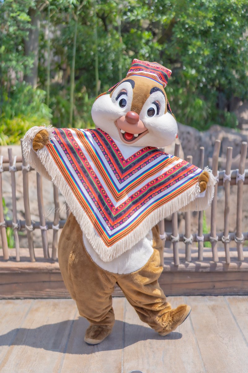 ポンチョはどこに売ってる 取扱店はココ アレどこ