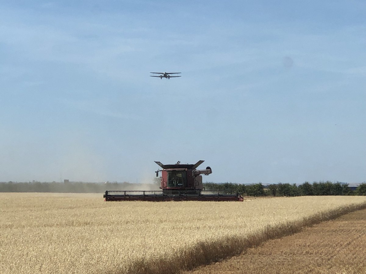 rtkfarmer5's tweet photo. ⁦@niabgroup⁩ a couple of days late into this field for #Farm24 but… combining under ⁦@IWMDuxford⁩ flight path this morning adding another interesting element to our diverse work. Also a Red Kite circling overhead. https://t.co/yhOP3cUtWk