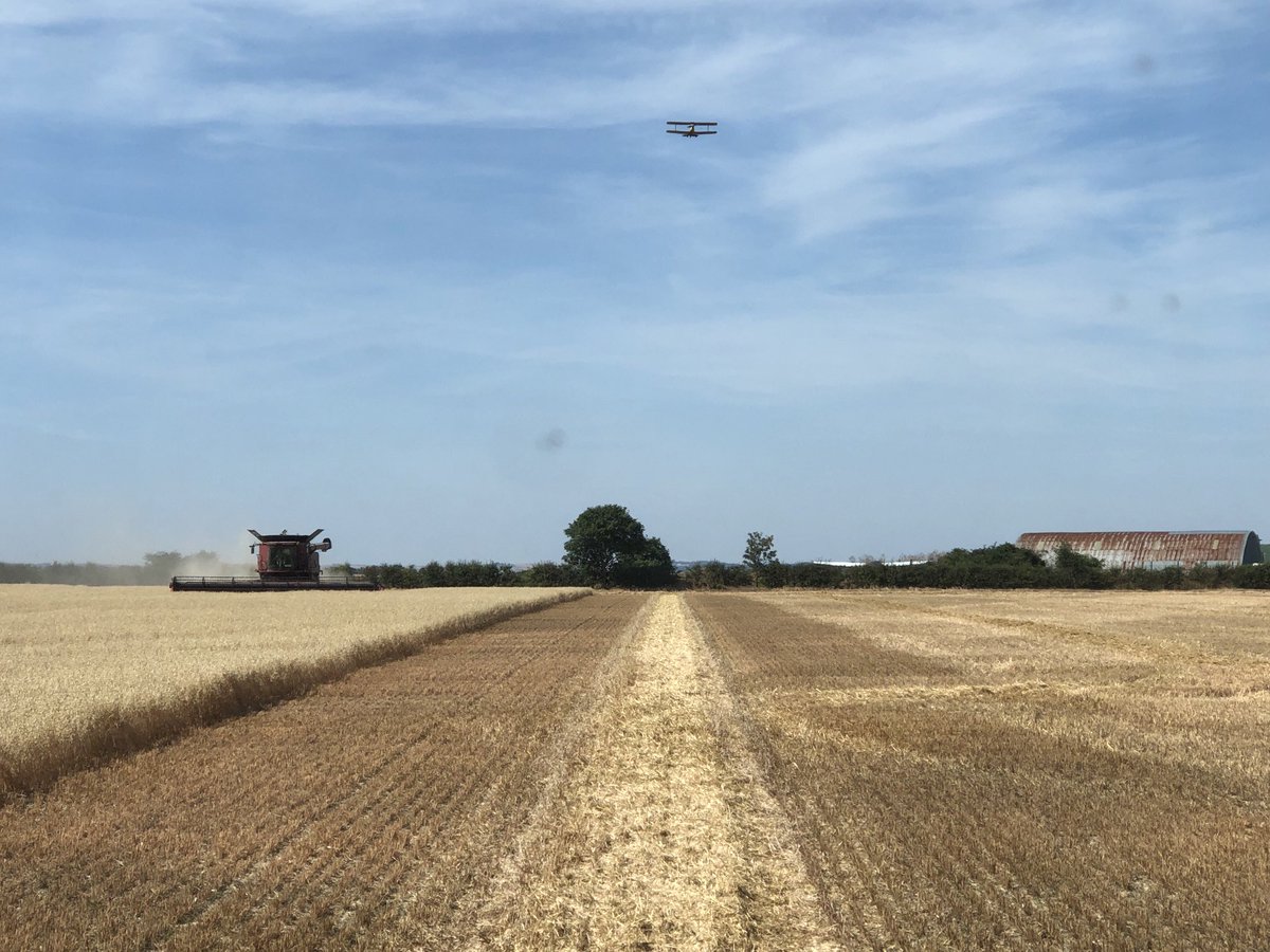 rtkfarmer5's tweet photo. ⁦@niabgroup⁩ a couple of days late into this field for #Farm24 but… combining under ⁦@IWMDuxford⁩ flight path this morning adding another interesting element to our diverse work. Also a Red Kite circling overhead. https://t.co/yhOP3cUtWk