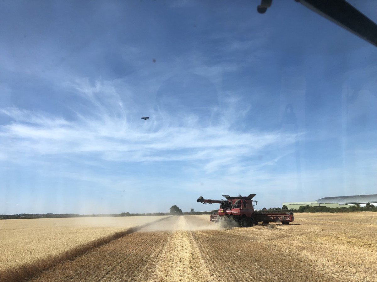 rtkfarmer5's tweet photo. ⁦@niabgroup⁩ a couple of days late into this field for #Farm24 but… combining under ⁦@IWMDuxford⁩ flight path this morning adding another interesting element to our diverse work. Also a Red Kite circling overhead. https://t.co/yhOP3cUtWk