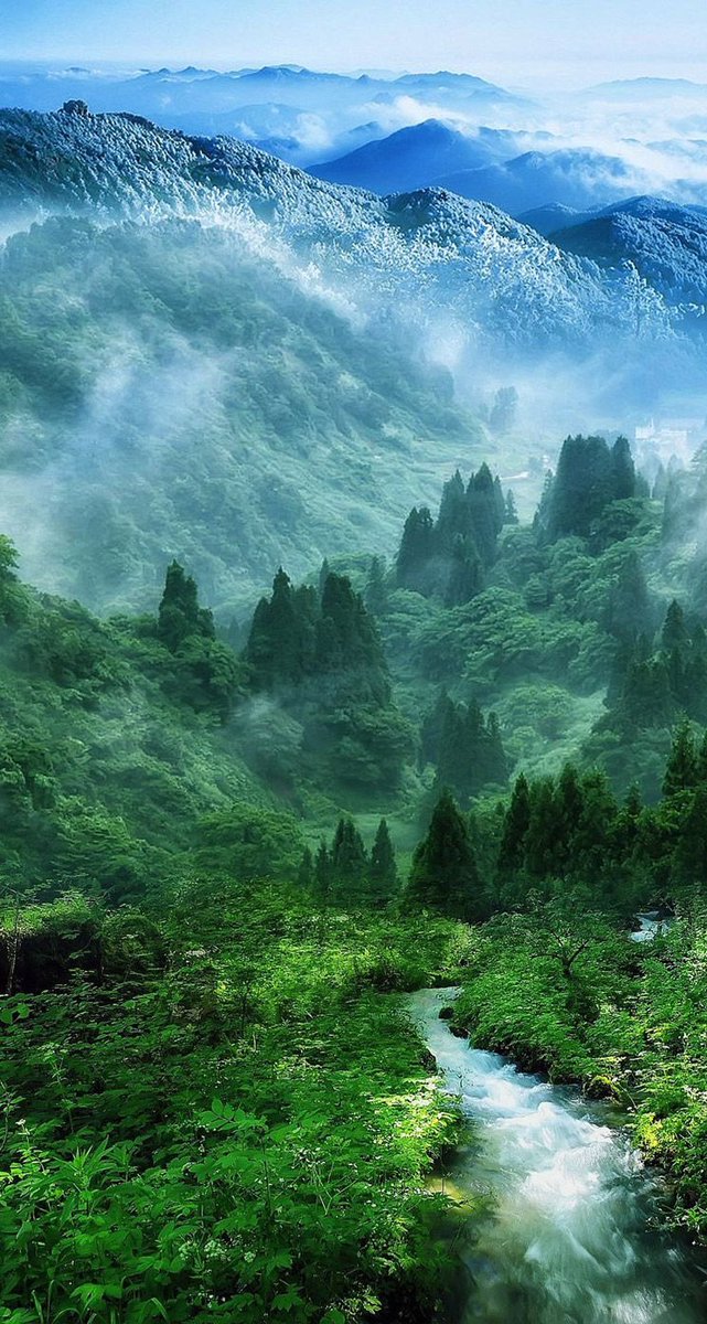 nature_forum's tweet photo. This is so beautiful landscape ❤️
#nature #NaturePhotography #photography https://t.co/C2y185RR7Q