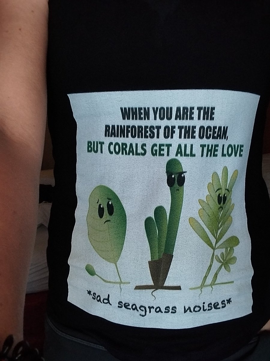 NicoleRFoster's tweet photo. That time I showed my #seagrass love at #LINO22 🤓
Post swimming in Lake constance with @HilaHonig. What a time!

#theseagrasslifechoseme https://t.co/n9WaqBfqZt