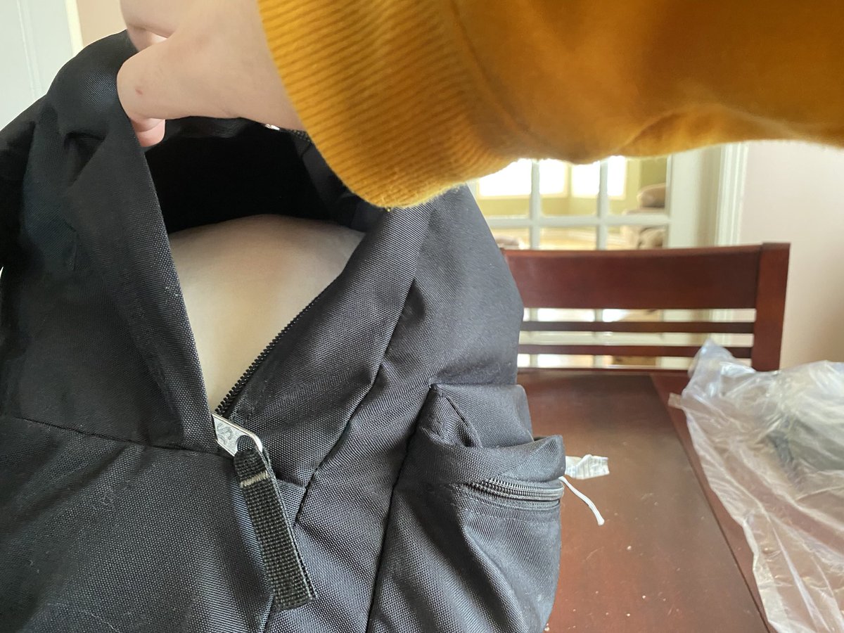 PedroSeagull's tweet photo. Owner getting me out of the backpack https://t.co/e4kWijfUkO