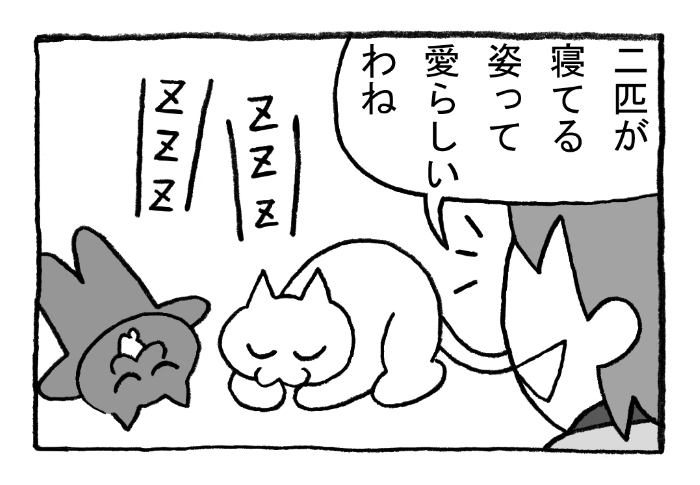 ねこまんがかいてみた250「バズリ動画」
#ねこ #ネコ #猫 #白猫 #黒猫 #猫漫画 #4コマ #4コマ漫画 #四コマ #四コマ漫画 #マンガ #漫画 #youtube #動画 #寝る #寝る猫 #かわいい #バズる 