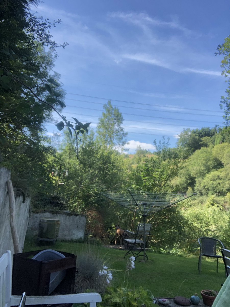 thenegshed's tweet photo. #Solography is a technique I’ve not had much success with.
I’m giving it another go today.
Coffee can loaded with @ilfordphoto #RCMG and facing #SouthWest across my garden.
I’m giving it one week.
#suntrails
#TheNegShed
#homemadecamera
#lenless
#lenslessphotography https://t.co/3BOeRf3tbs