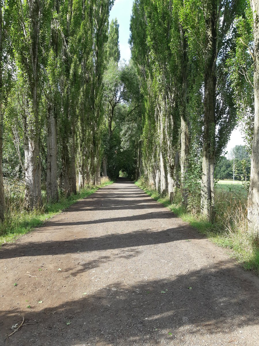 FletcherMoss parkrun tweet media