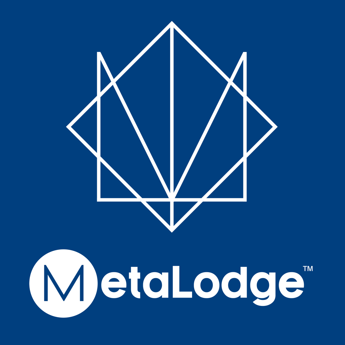 MetaLodge™ tweet media