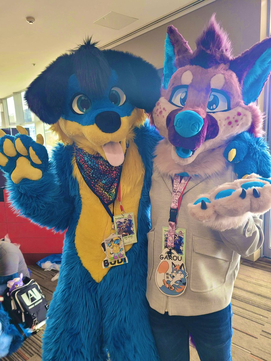 Both Garou and Max met the loveable <a href="/bodithelabrador/">Bodi the Labrador 🔜 FurDU 2026!</a>!
He’s so sweet and kind! 😊
#auRAWRa #fursuit #furry