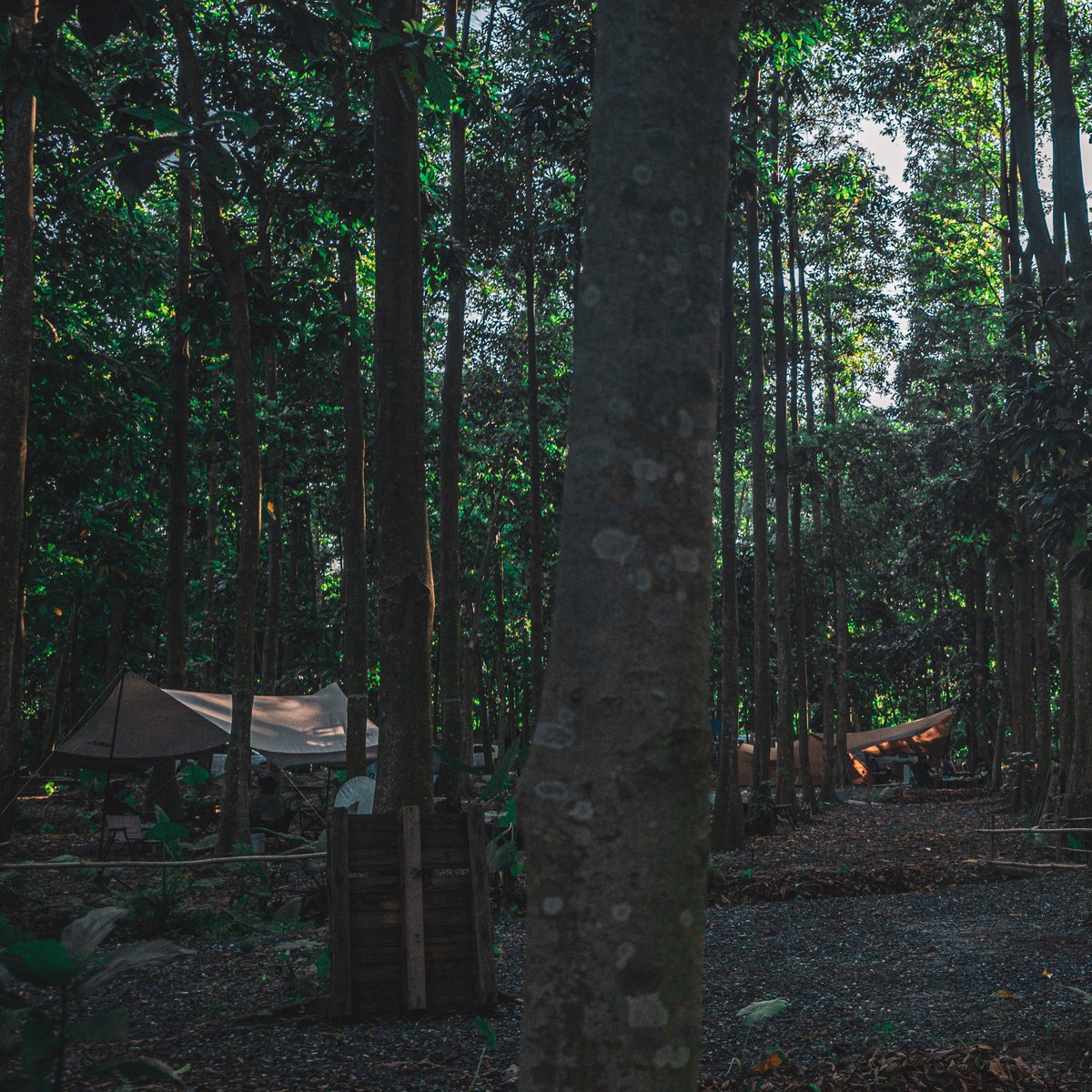 AGM_MOBILE_'s tweet photo. Time to get out there and join our summer camp,
drinks on us.
#agmh5pro #findyourglory #outdoor https://t.co/MFlhq0lzpT
