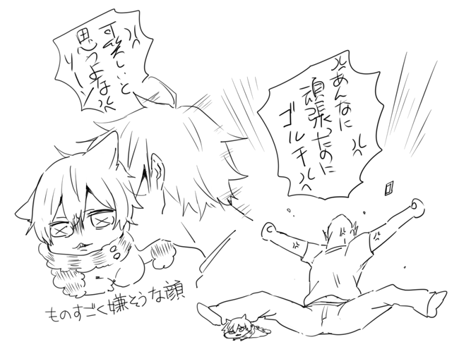 ※猫実録 